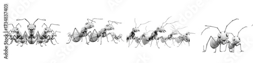 Animated ants work together, representing teamwork and community, originally designed as scalable vector art, perfect for illustrating collaboration and problem solving