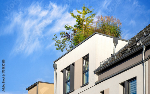 Dachbegrünung, Öko-Haus