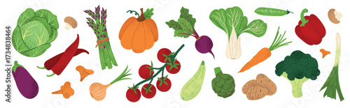 Collection of fresh vegetables isolated on white background. Cabbage, pumpkin, carrot, tomato, broccoli, pepper, eggplant, zucchini, onion, artichoke. Healthy food vector illustration.