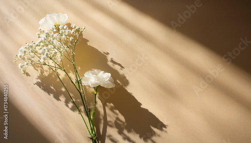 Shadow Of Reflect Sunlight With Flowers On Beige Background
