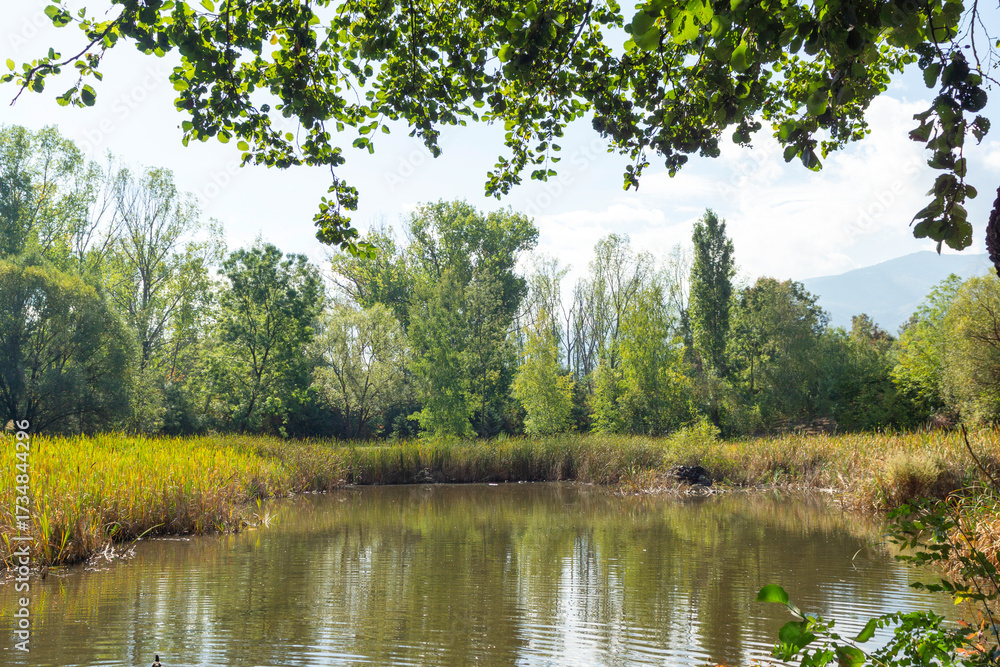 Obraz premium Landscape of South Park in city of Sofia, Bulgaria