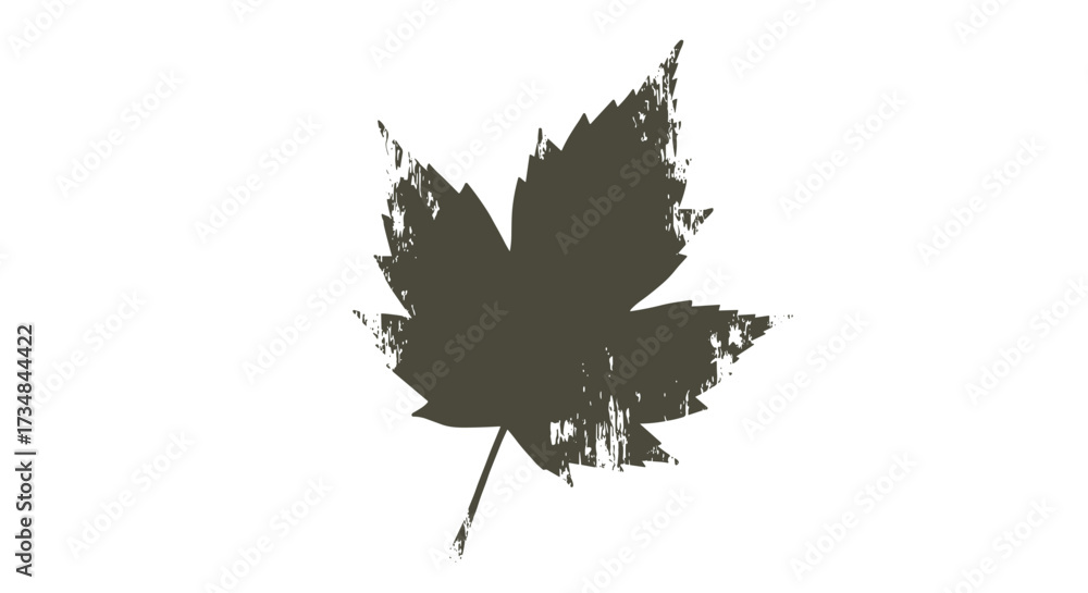 Obraz premium Autumn Maple Leaf Silhouette