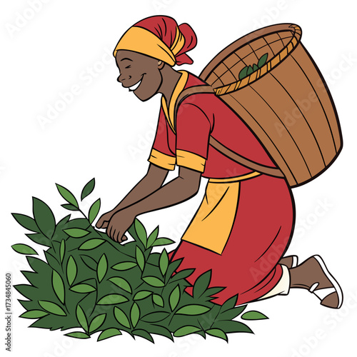 Smiling traditional tea picker woman expertly harvests fresh leaves, filling her woven basket with care and dedication.