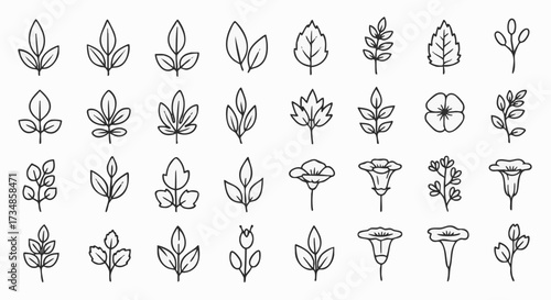 A diverse collection of minimalist line art botanical icons