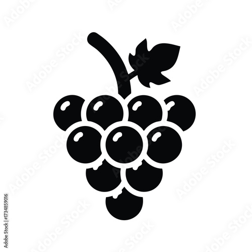 Cluster of ripe dark grapes hanging from a vine with a single leaf in a natural setting