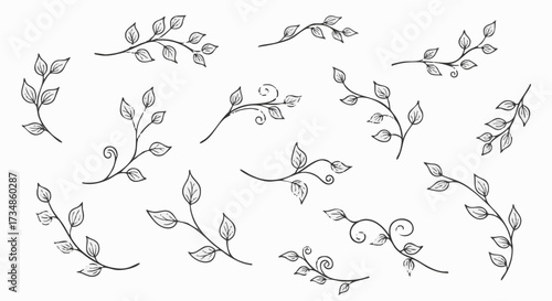 Collection of hand-drawn botanical elements featuring delicate leaves and swirling vines on a white background
