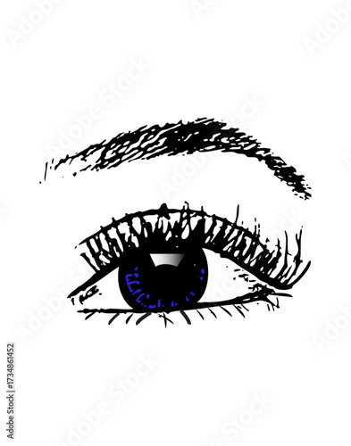 Black Eyebrow and Eyelashes with Blue Iris- Hand Drawn Vector Illustration