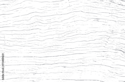 Tree bark texture