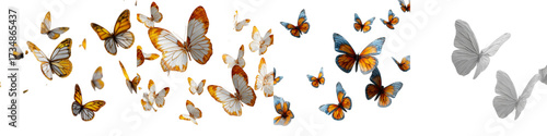 Enchanting swarm of delicate butterflies in flight, a symbol of transformation, grace, and freedom, perfect for nature, beauty, and whimsical designs and creative springtime projects