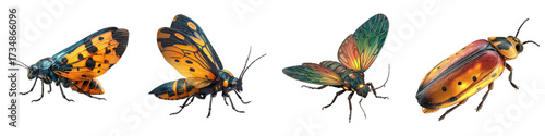 Radiant collection of jewel beetles and moths, bringing nature's colorful artistry to your creative projects with these vibrant insect specimens originally as scalable vector graphics
