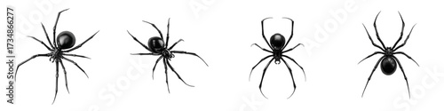 Creepy Crawly Collection Spiders for Halloween, Black Arachnids for Horror Themes, Scary Halloween Decorations, Perfect for Spooky Designs, Eerie and Spine-Chilling