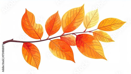 Autumn Leaves, Artistic Illustration Isolated for seasonal design, greeting cards
