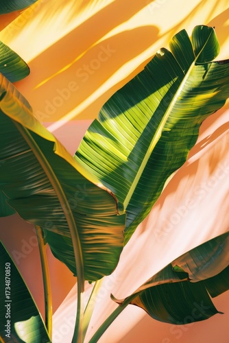 Lush tropical foliage casts shadows on a warm-toned wall, creating a vibrant interplay of light and shadow