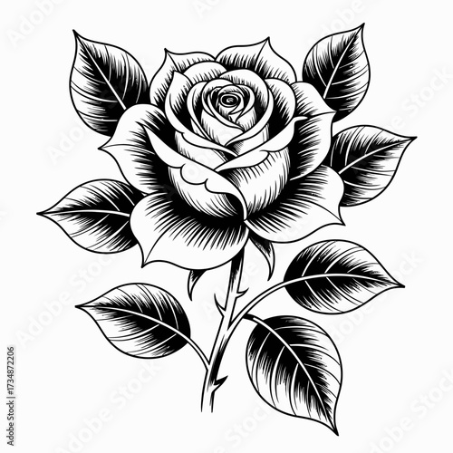 A beautifully detailed black and white illustration of a rose, symbolizing love and elegance, showcasing intricate line work and a timeless aesthetic appeal for art lovers.