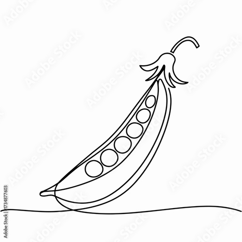 A simple and elegant line drawing of a pea pod showcases minimalist artistry while symbolizing growth, health, and the beauty of nature in its purest form.