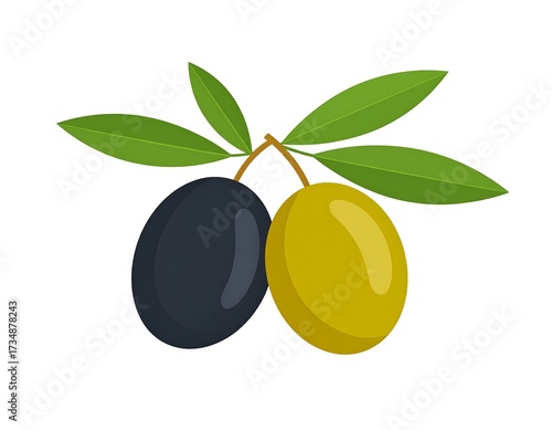 Two olives with leaves on branch