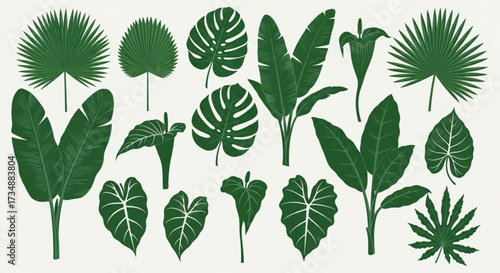 tropical foliage, exotic plant leaves, and botanical elements in a stylized illustration style
