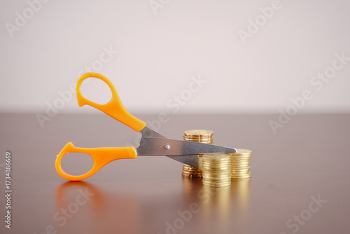 concept photo of cost cutting or benefit deduction