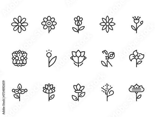 Collection of simple flower outlines arranged in rows showcasing botanical diversity and minimalist beauty on a clean white backdrop, perfect for spring designs.
