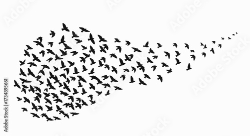 A dynamic flock of black bird silhouettes flying together in a sweeping, flowing motion against a clean white background