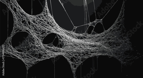 An intricate, abstract spider web structure in monochrome hangs suspended against a dark background