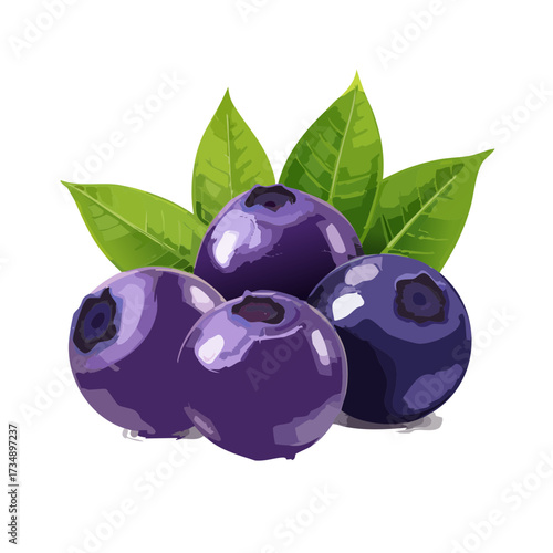 Açaí Berry Vector Illustration — Fresh Purple Superfruit with Leaves, Whole and Clustered Berries
