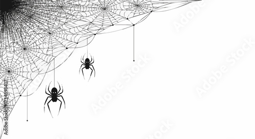 Minimalist black and white graphic featuring a detailed spiderweb border design in the corner with hanging spiders, perfect for Halloween or horror themes