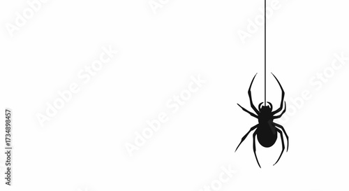 Minimalist vector illustration of a spider hanging from its silk thread. This creepy and spooky graphic is isolated on white with copy space