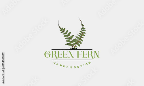 Green Fern logo icon design template vector, Hand Drawn Fern garden Designs template vector