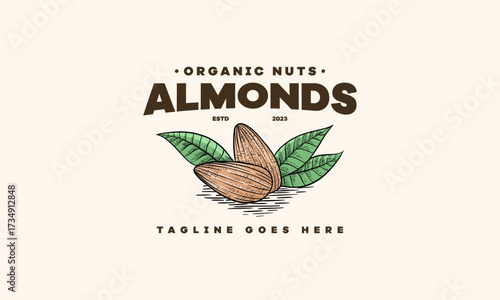 Vector almonds vintage logo. Almonds seeds and shells illustration
