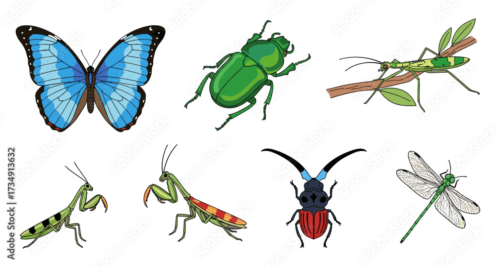 Fototapeta premium Vector illustration set of colorful insects isolated on transparent background for entomology svg