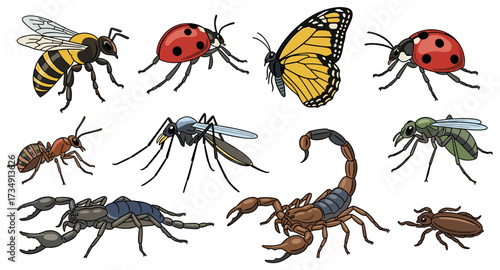 A diverse collection of insects and arachnids svg vector illustration isolated on transparent background