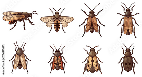 Set of various insect vector illustrations including different species of bugs, beetles and wasps svg