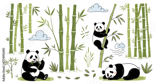 Set of cute cartoon pandas eating, climbing, and sleeping in a bamboo forest vector illustration