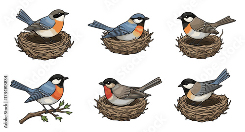 Set of hand-drawn songbirds nesting in woven nests. SVG vector illustration collection isolated.