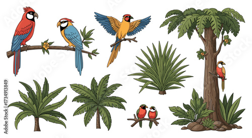 A vibrant hand-drawn vector illustration set of macaw parrots and tropical jungle palm foliage