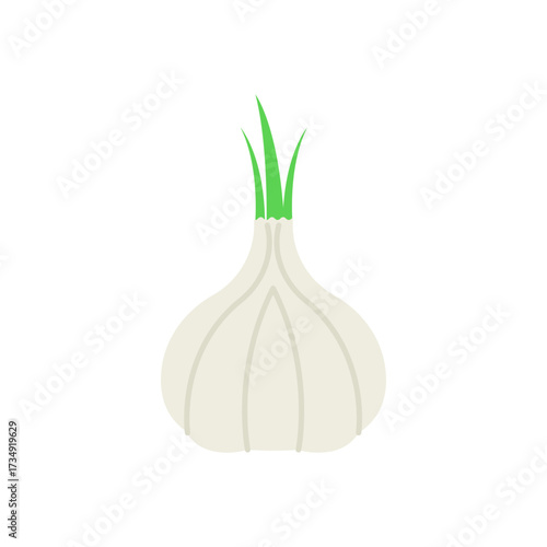 Fresh and flavorful garlic bulb illustration with vibrant green sprouts, an essential healthy ingredient for culinary creations and seasoning dishes