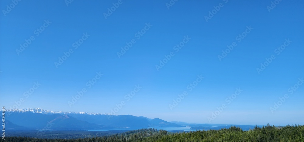 Obraz premium landscape with trees
