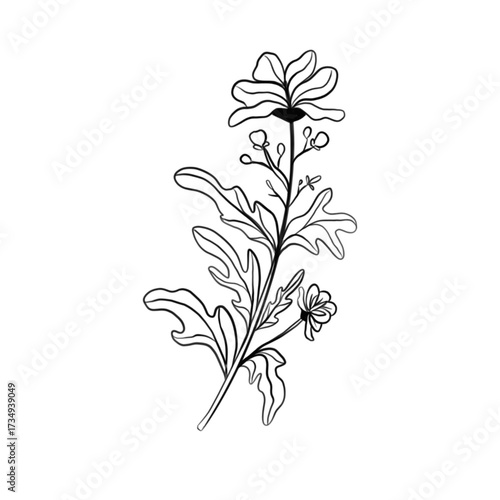 abstract floral with flowers transparan 