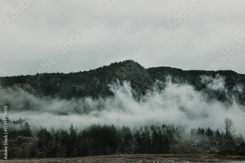 Bilde på lerret Low-lying fog over dark green coniferous forest and hillside mountain