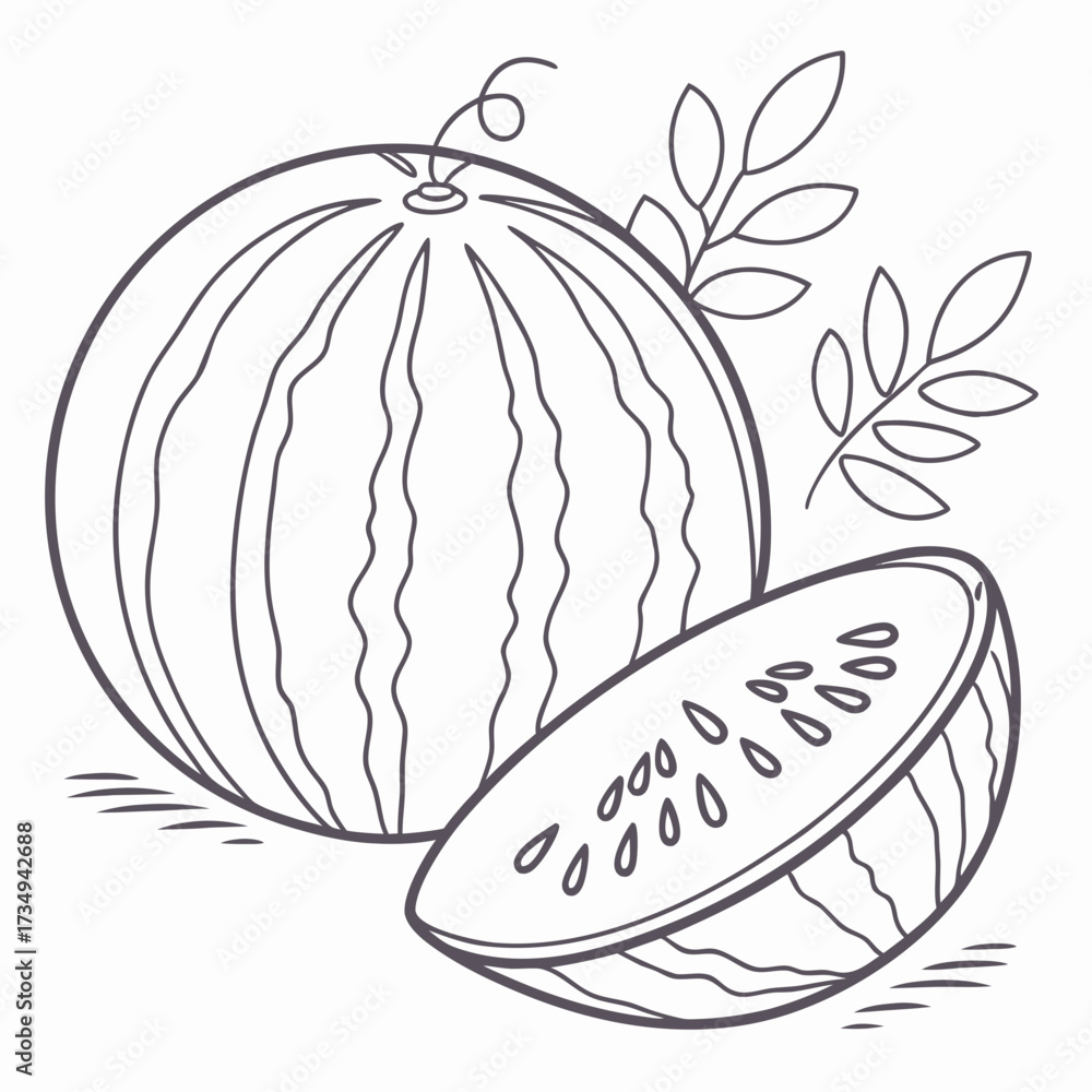 Fototapeta premium A simple line drawing of a whole watermelon and a slice of watermelon with seeds and leaves on a white background