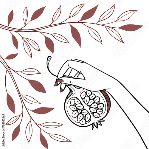 Elegant hand with manicured nails delicately holds a ripe cut pomegranate with visible seeds against a backdrop of stylized branches and leaves