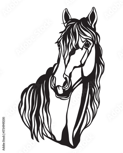 Beautiful horse illustration template vector isolated illustration
