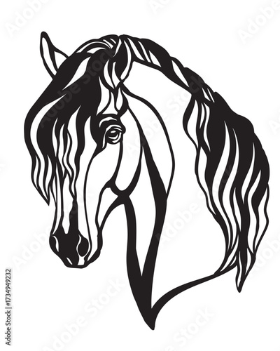 Beautiful head of horse with long mane vector illustration