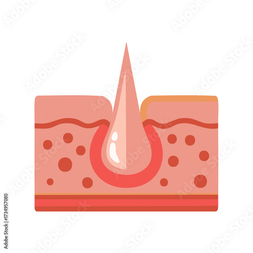 Hair follicle in skin cross-section with a drop of nourishing serum for growth and care