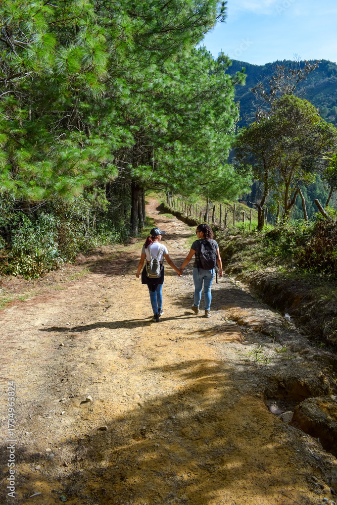 Fototapeta premium Mother and Teenage Daughter Holding Hands Walking Down Dirt Road or Rural Path, Exploring Nature and Family Bonding in Countryside Landscape