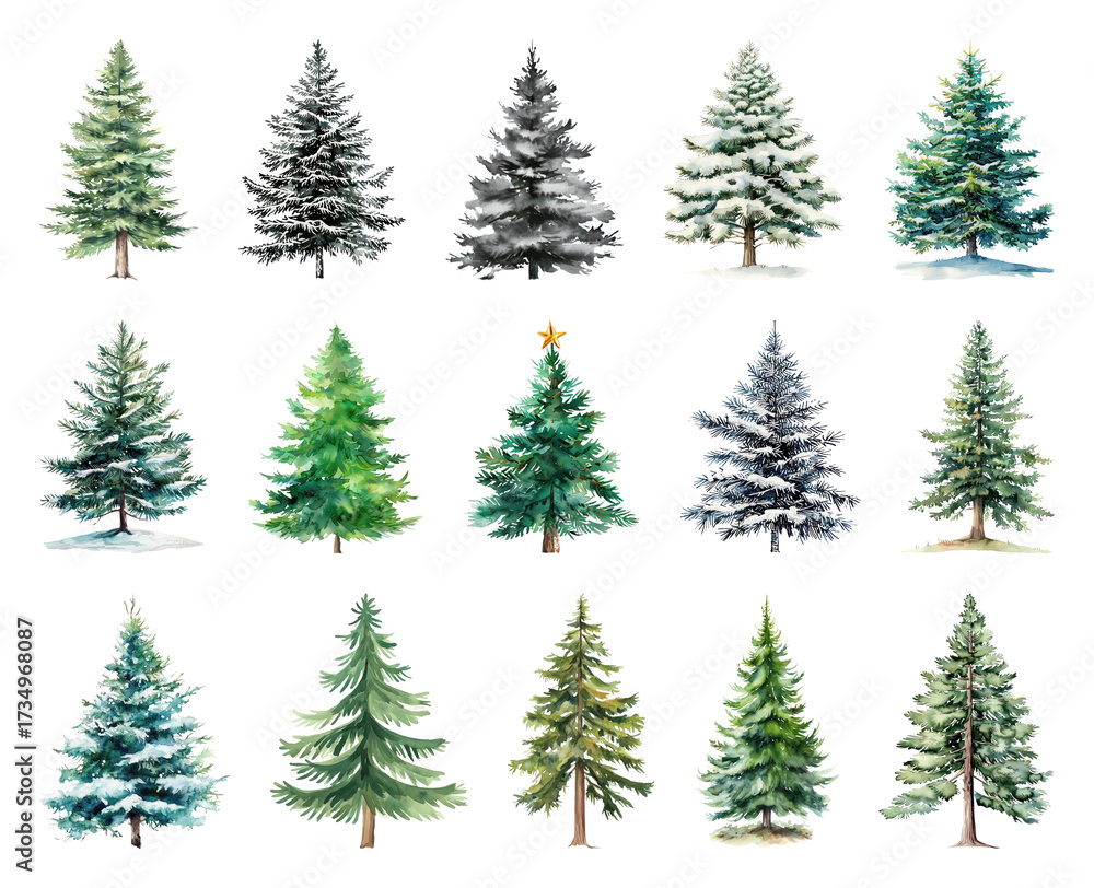 Fototapeta premium Diverse watercolor evergreen tree illustrations.