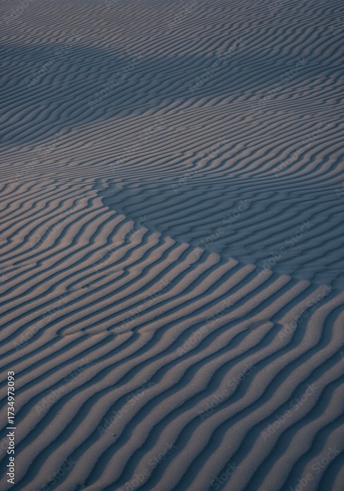 Obraz premium Abstract Desert Ripples: A serene image of sweeping, ridged sand formations in the desert, subtly lit, embodying the tranquil stillness of the natural world. 