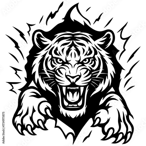 Black and white vector of roaring tiger head with extended paws and sharp claws, clean outline, , isolated on white background