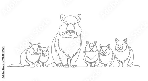 Quokka Family Illustration Adorable marsupials Line Art for Coloring and Design